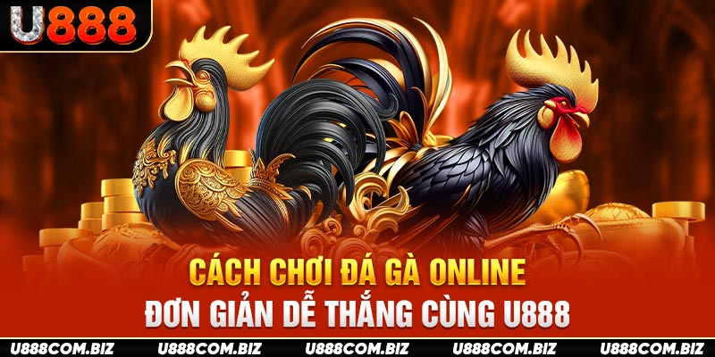 Cách Chơi Đá Gà Online Đơn Giản Dễ Thắng Cùng U888